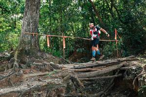 BIB: 
                            <button type="button" onclick="openModal(27801960)" class="btn btn-primary btn-sm float-right btn-popup" data-toggle="modal" data-target=".modal-high-quality">
                        <i class="fas fa-shopping-cart"></i> Add to Cart
                    </button>
                                            <button type="button" onclick="isThisMe(27801960, true)" class="btn btn-success btn-sm float-right btn-popup btn-isme hidden" data-toggle="tooltip" data-placement="bottom" title="นี่คือรูปของคุณใช่ไหม คลิกที่นี่เพื่อเอาเข้าอัลบั้ม">
                        <i class="fas fa-plus"></i> Add to album
                    </button>
                    <button type="button" onclick="isThisMe(27801960, false)" class="btn btn-warning btn-sm float-right btn-popup btn-isnotme hidden">
                        <i class="fas fa-ban"></i> Remove from album
                    </button>